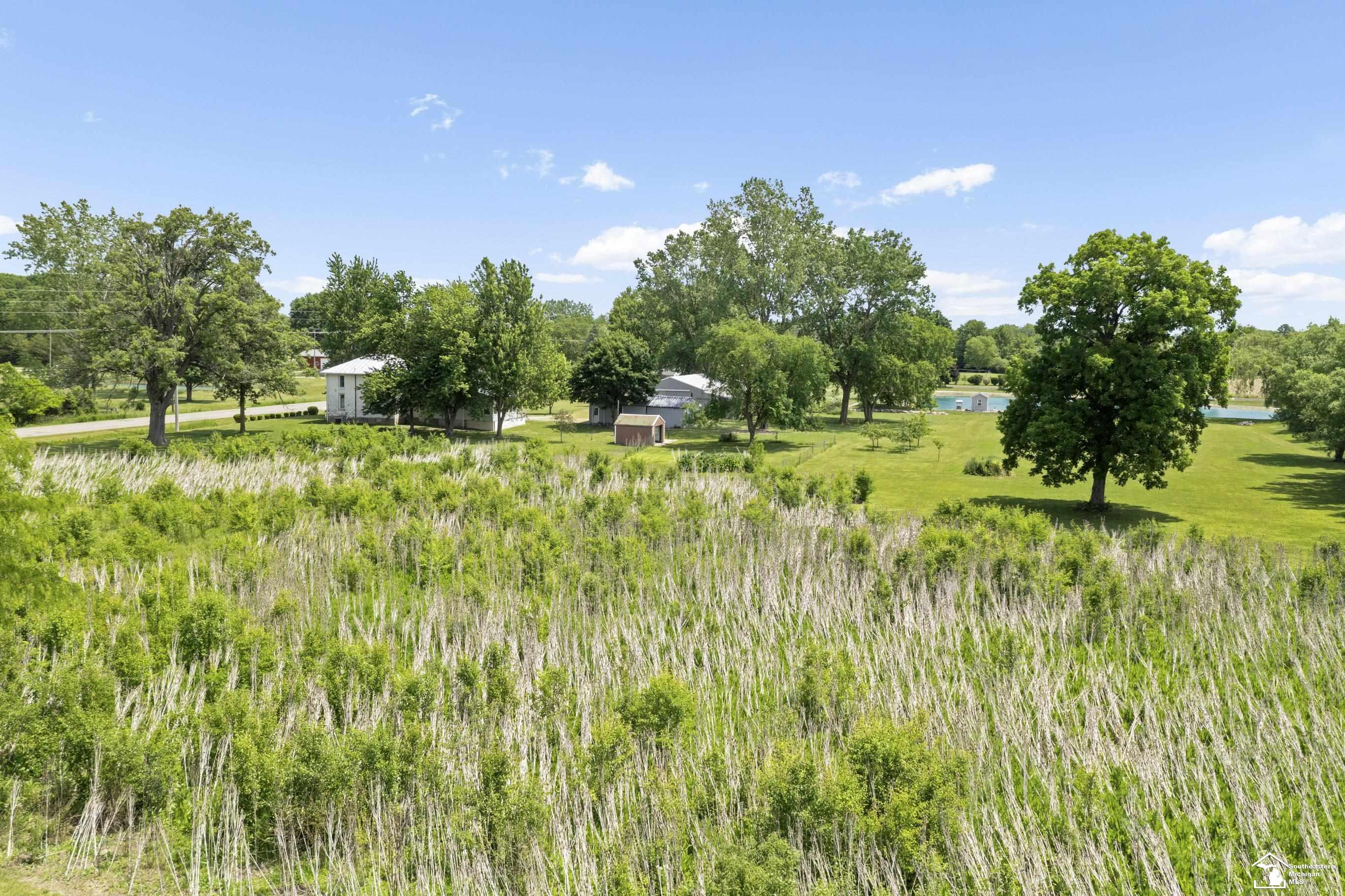 2808 Carleton Rockwood Road Carleton, MI 48117 - Photo 61 of 62