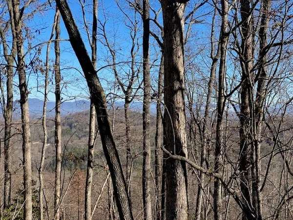 a view of outdoor space