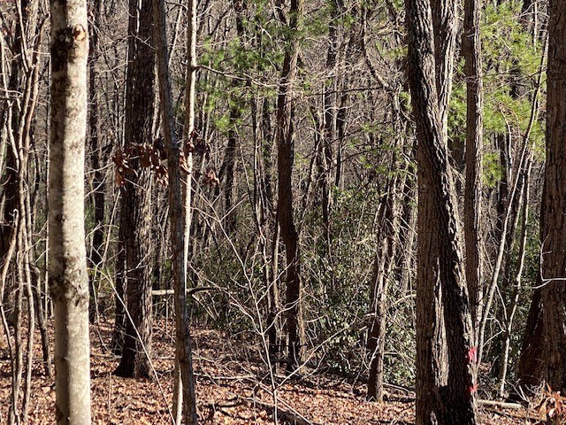 5.91-ac Sunrock Mountain Trace Blue Ridge, GA 30513 - Photo 6 of 7 a view of outdoor space