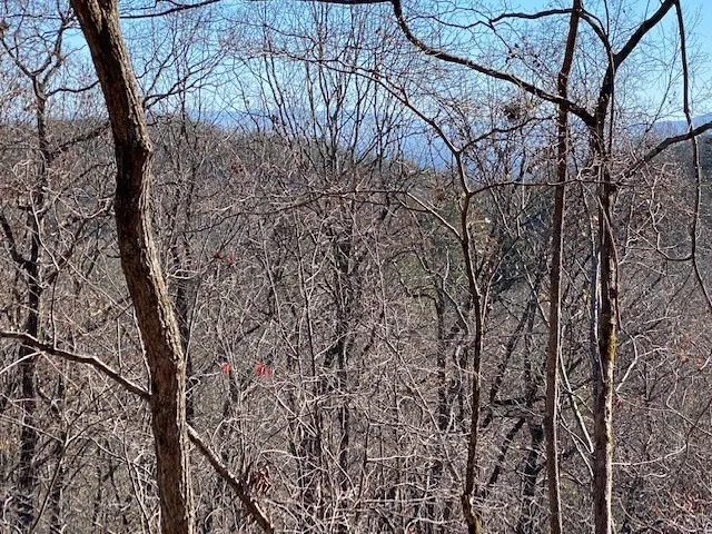 $189,000 | 5.91-ac Sunrock Mountain Trace, Blue Ridge, GA 30513