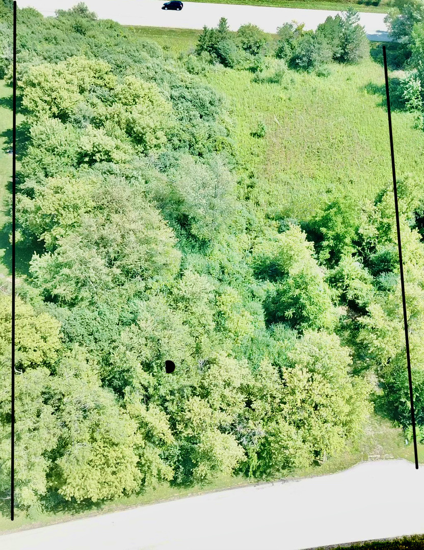 6510 Suttondale Road Huntley, IL 60142 - Photo 4 of 5 a view of a forest from a window