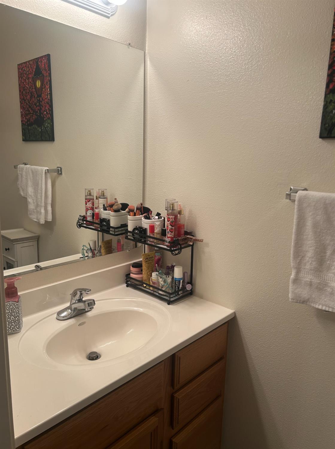2984 Sippy Lane Placerville, CA 95667 - Photo 8 of 17 half bath downstairs