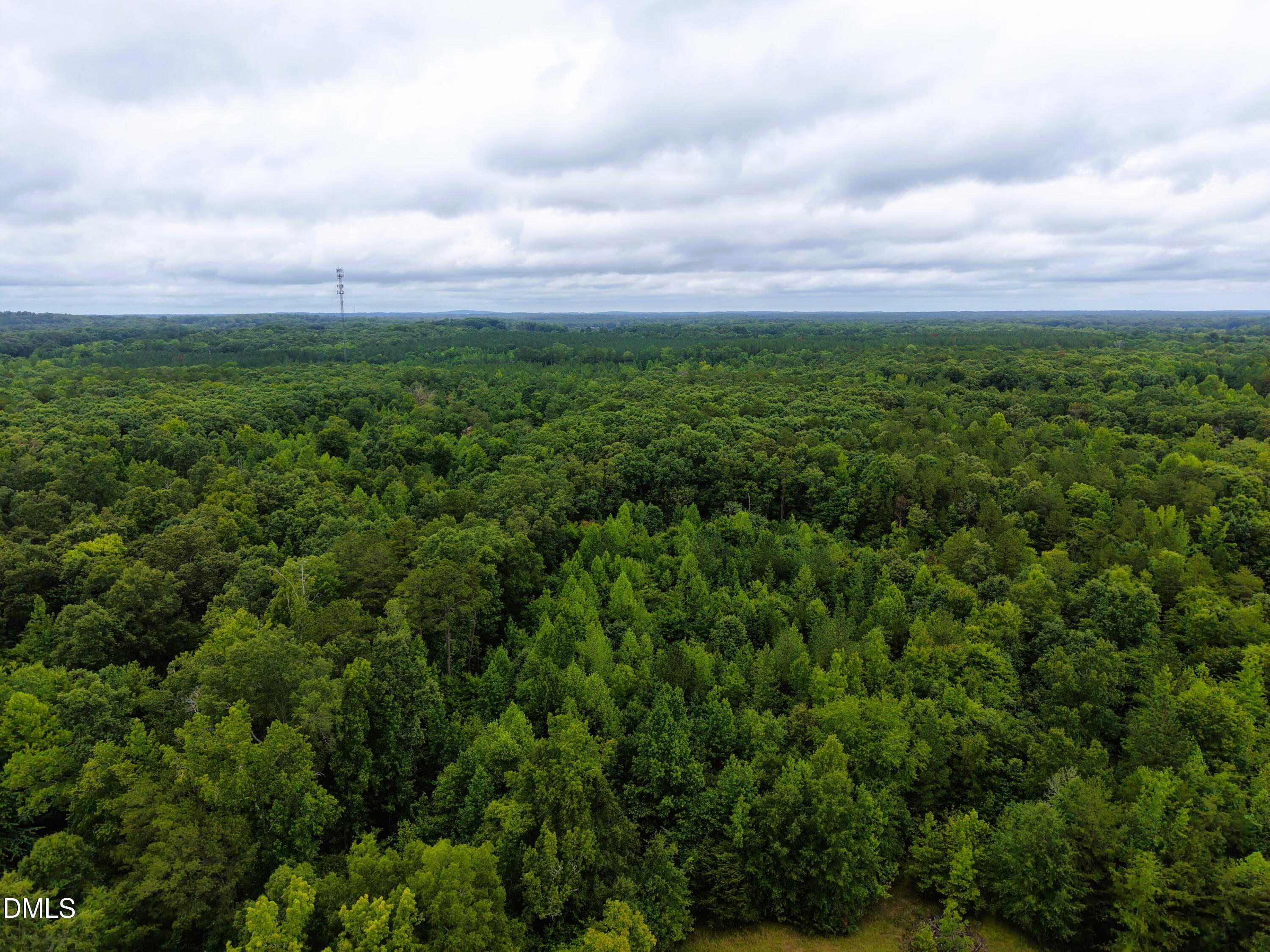 Aerial 2 weldon