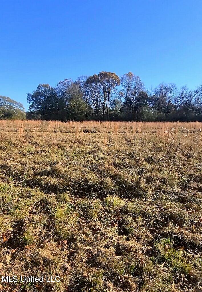 Fulmer Como, MS 38619 - Photo 1 of 1 12.68 acres Fulmer Rd
