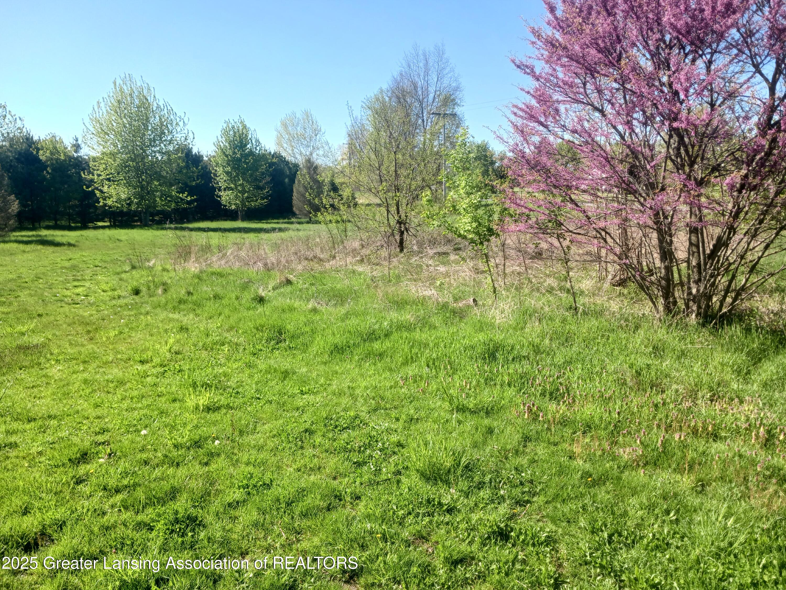 5340 Old Plank Road Onondaga, MI 49264 - Photo 10 of 10 20250508_171131