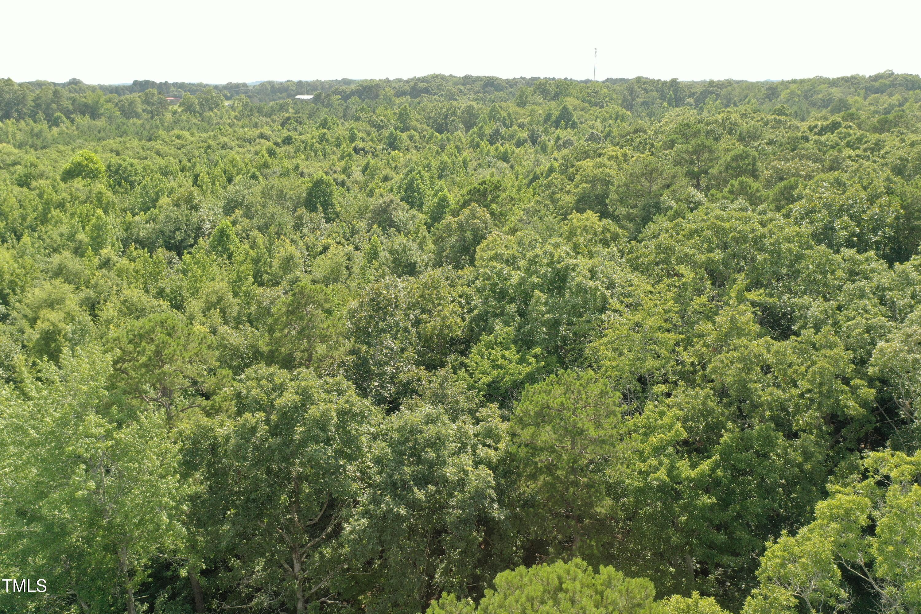 13373 North Roxboro Street Rougemont, NC 27572 - Photo 6 of 8 DJI_0057