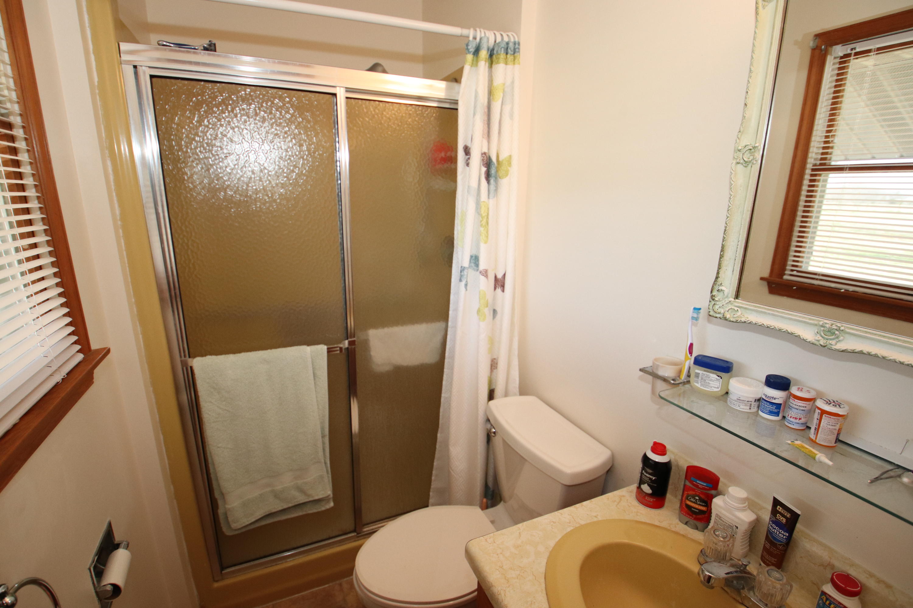 1742 Meadors Spur Road Moneta, VA 24121 - Photo 19 of 32 Master Bath