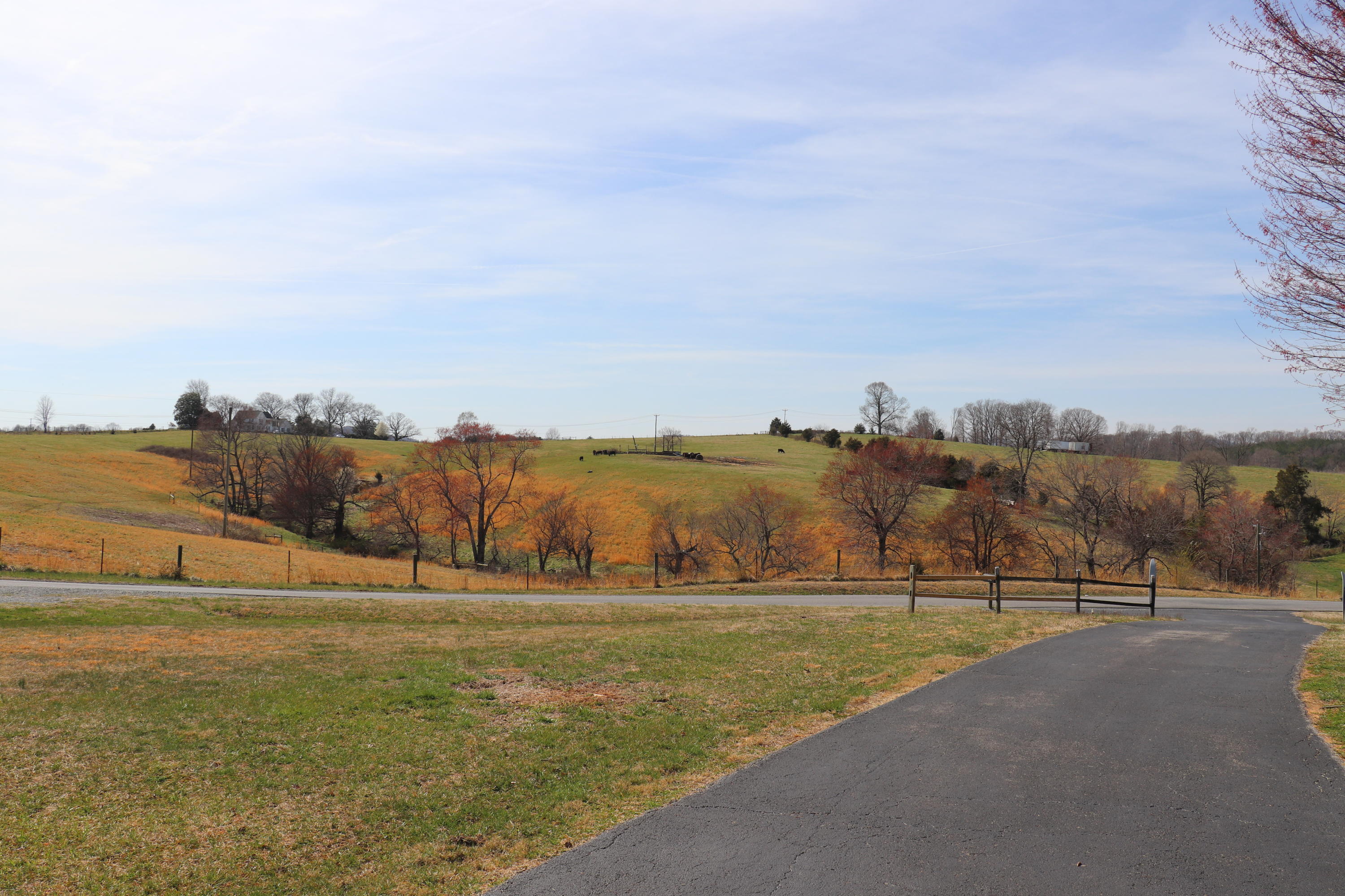 1742 Meadors Spur Road Moneta, VA 24121 - Photo 6 of 32 Front Yard View