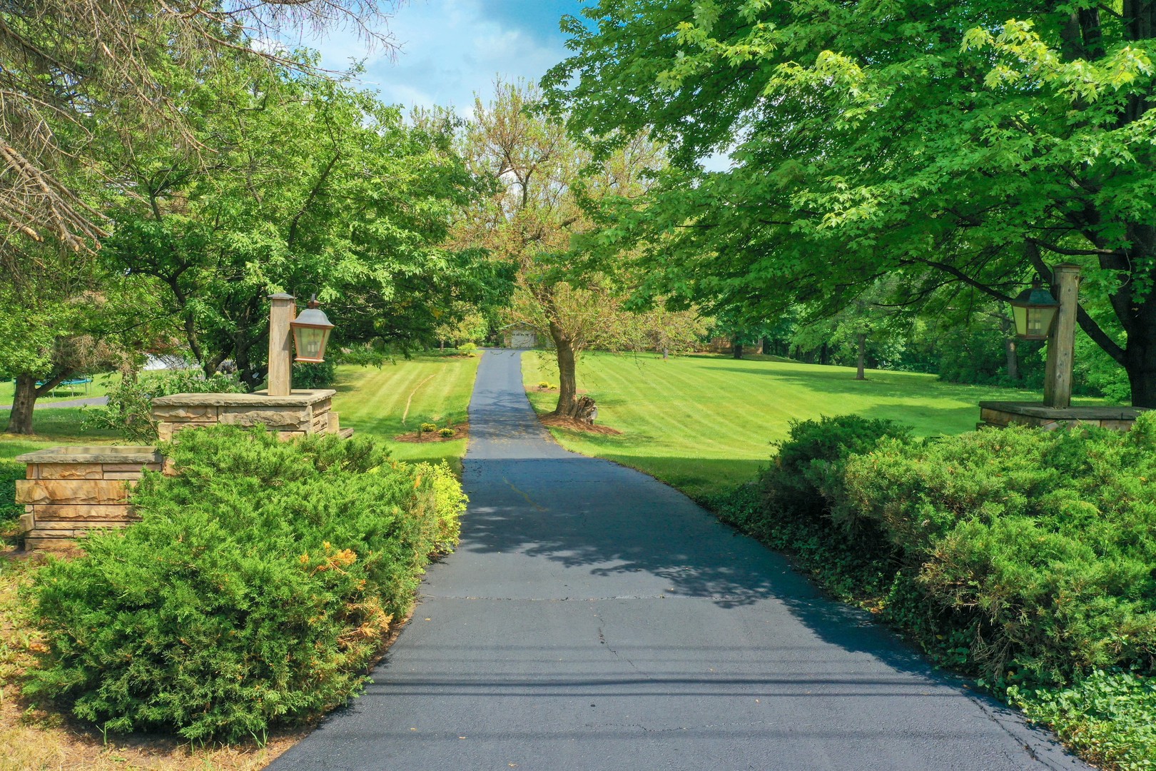 7704 Newbold Road Cary, IL 60013 - Photo 3 of 56 a view of a yard with plants and large trees