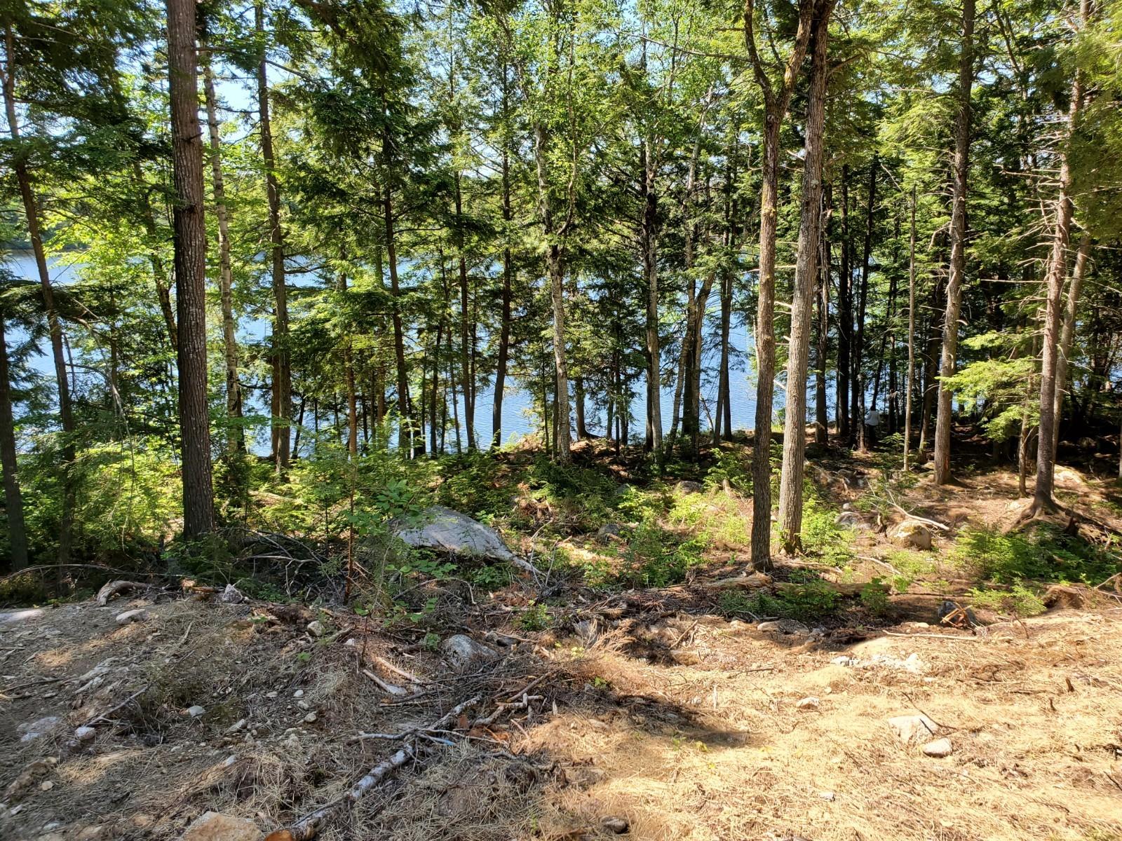 Lot #12 Houston Road Lincoln, ME 04457 - Photo 1 of 10 20200617_104916