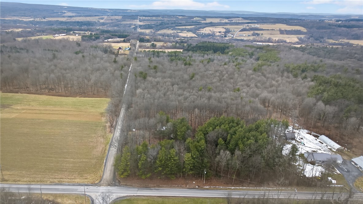 1936 Briggs Road Benton, NY 14527 - Photo 43 of 44 View looking west