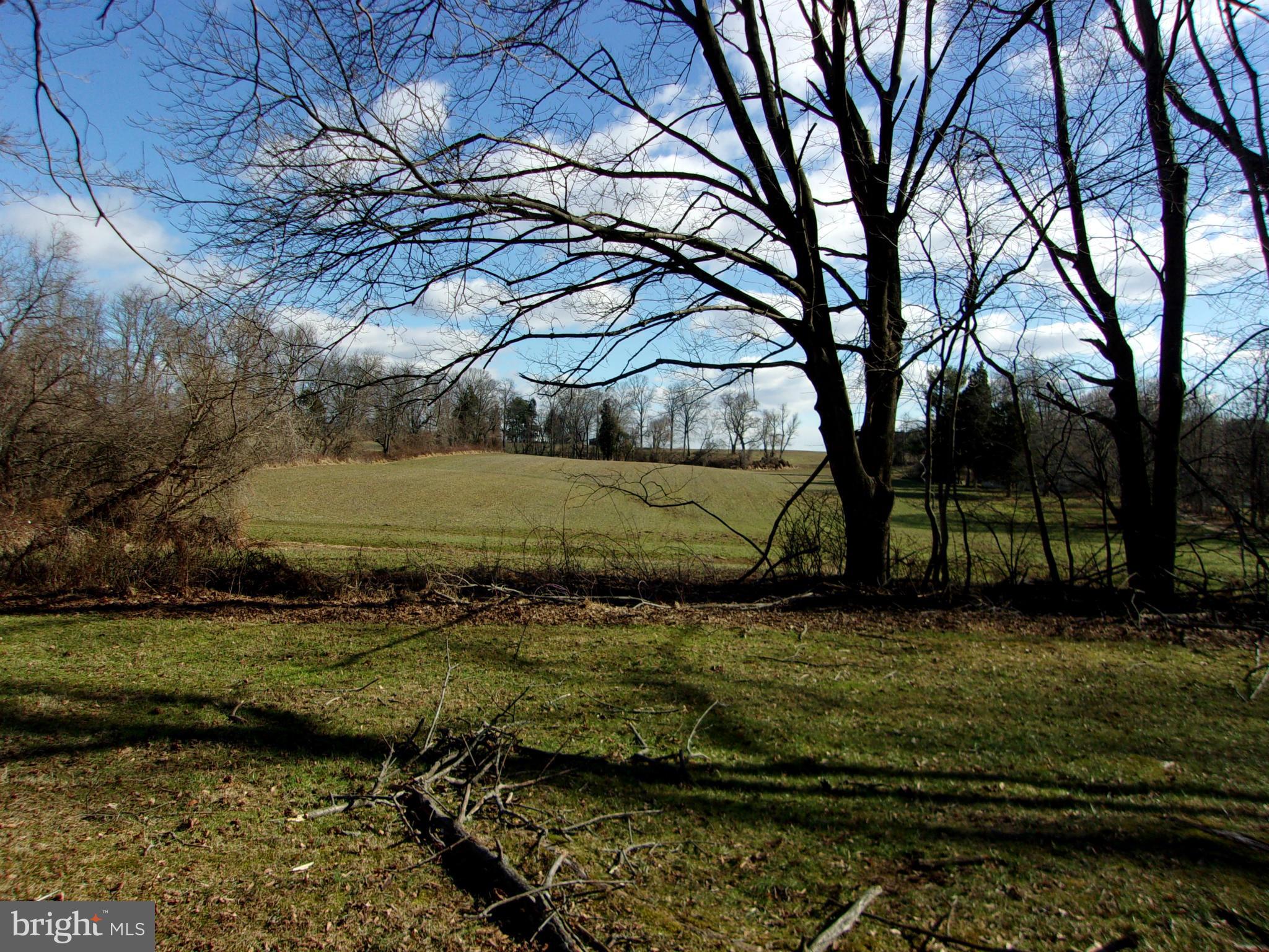 13141 Fork Road Baldwin, MD 21013 - Photo 11 of 15 a view of a yard with large trees