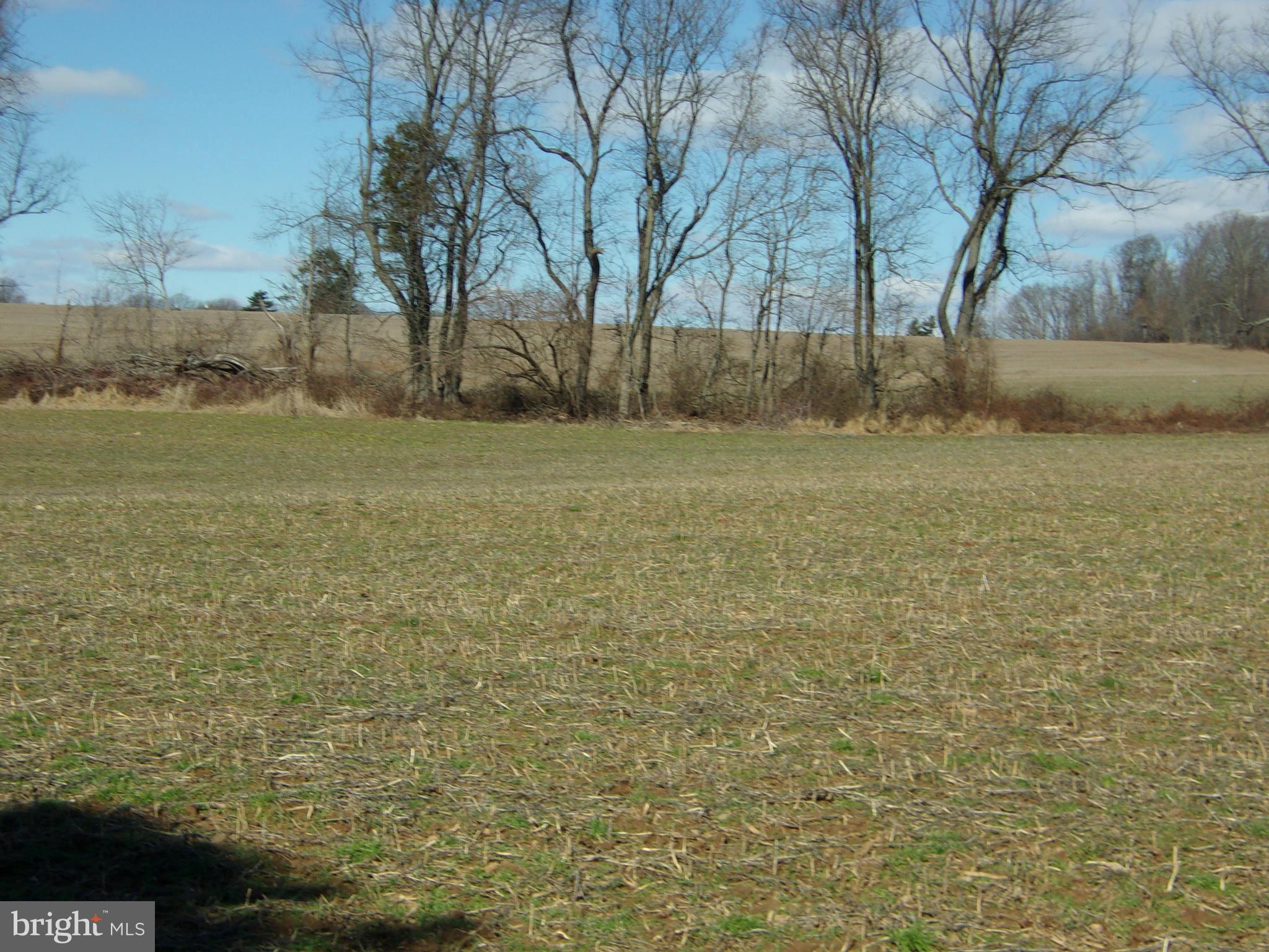 13141 Fork Road Baldwin, MD 21013 - Photo 3 of 15 a view of a yard