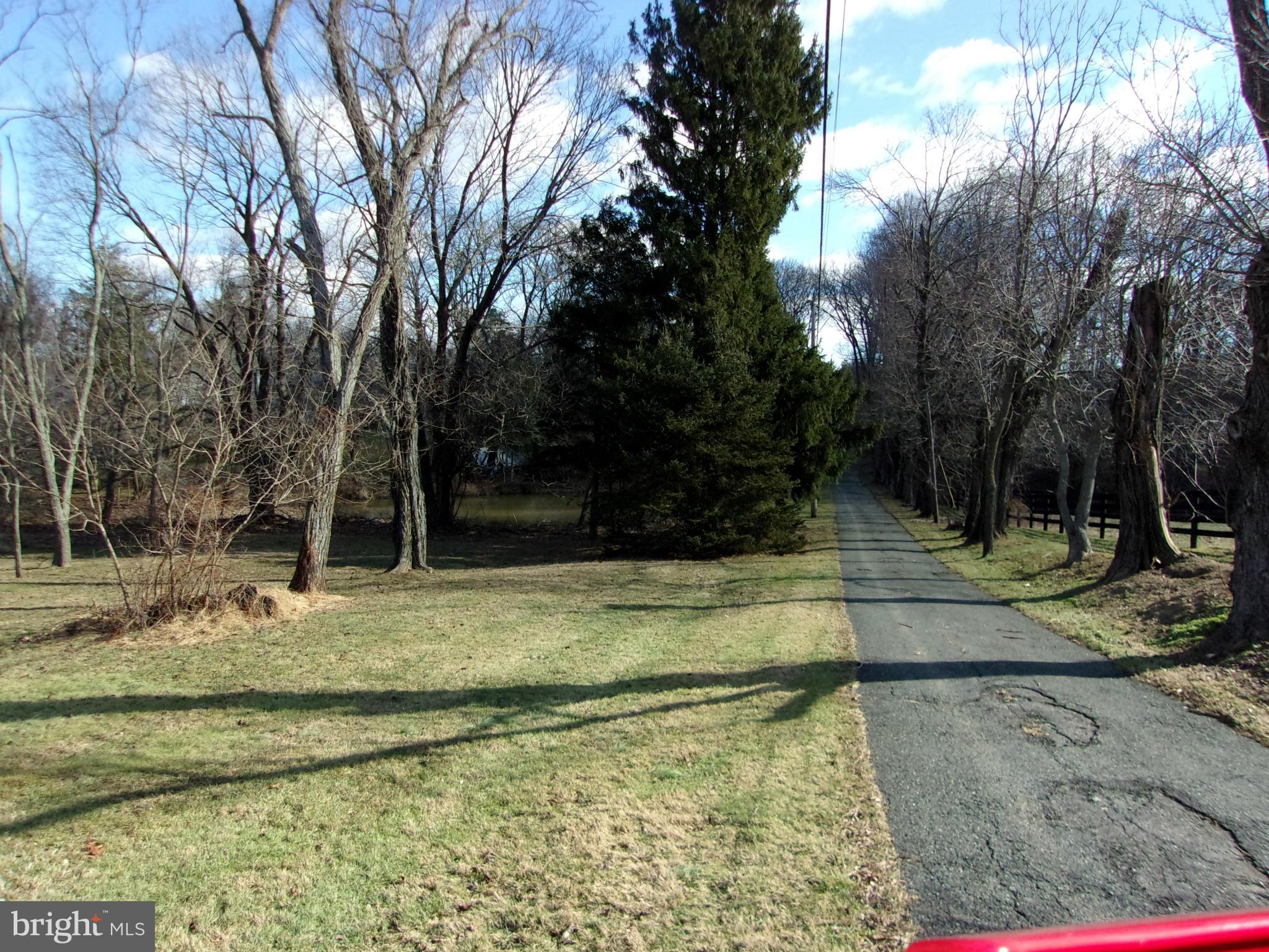 13141 Fork Road Baldwin, MD 21013 - Photo 9 of 15 a view of a yard with trees