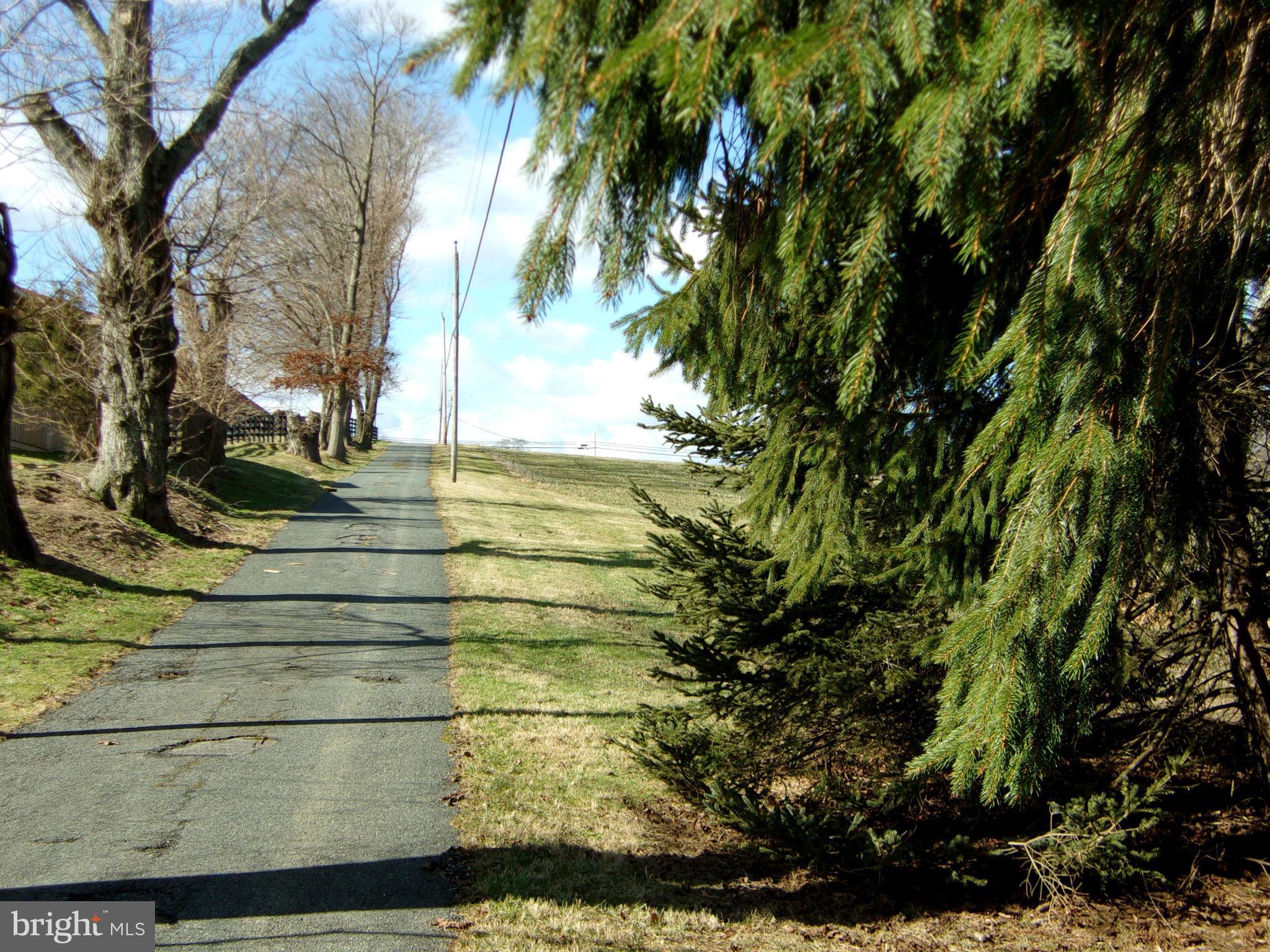 13141 Fork Road Baldwin, MD 21013 - Photo 10 of 15 a view of a yard