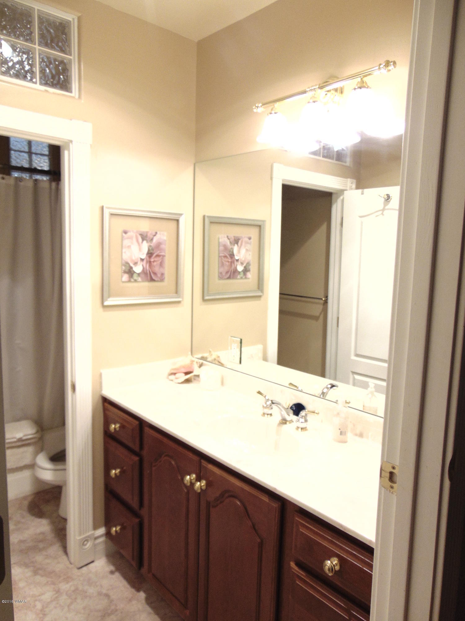 650 South 5th W Street Snowflake, AZ 85937 - Photo 52 of 59