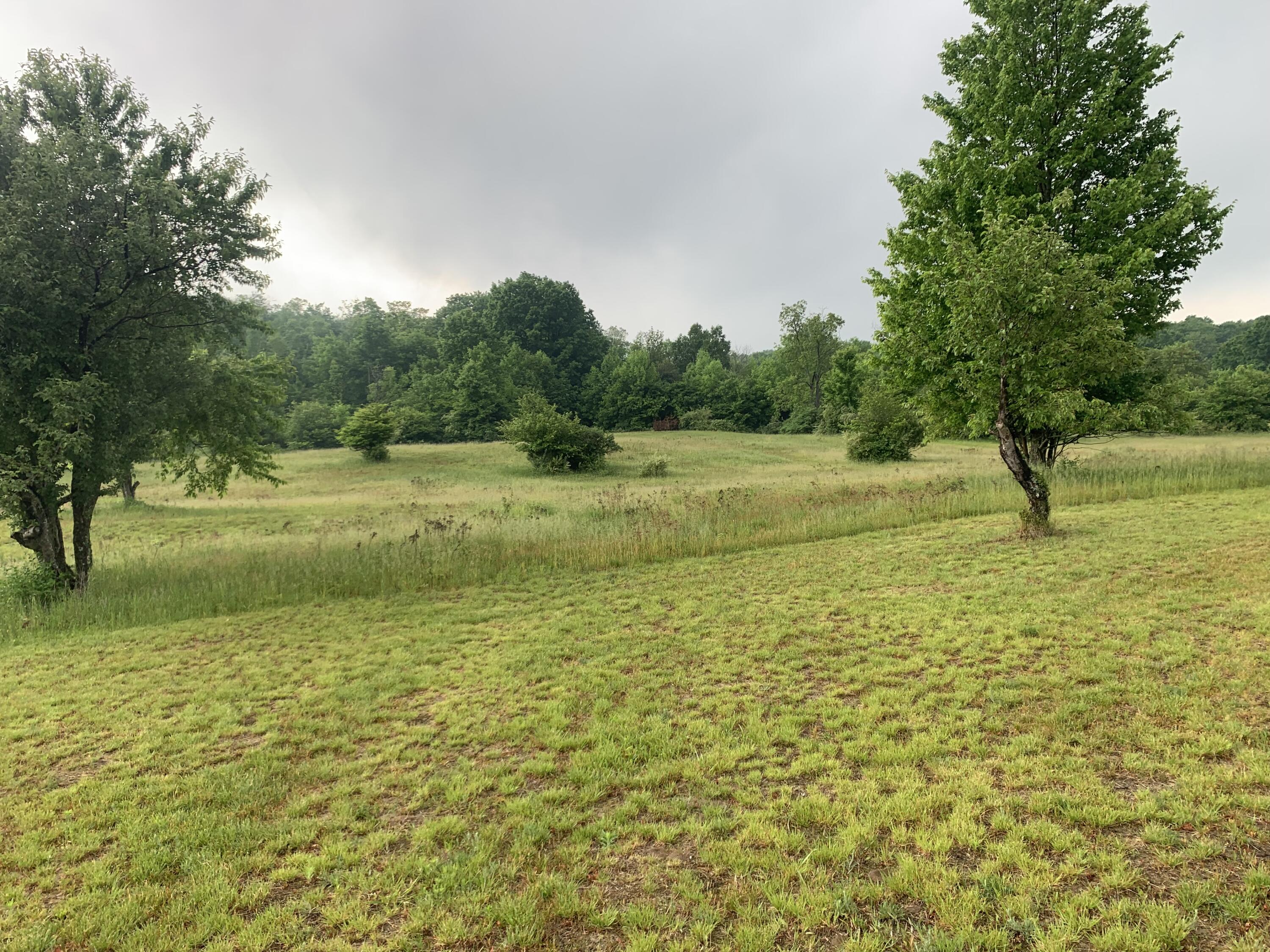 4395 North Raymond Road Luther, MI 49656 - Photo 17 of 58 IMG-8438