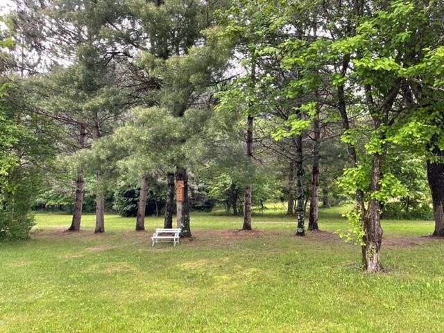 4395 North Raymond Road Luther, MI 49656 - Photo 20 of 58 IMG_5117