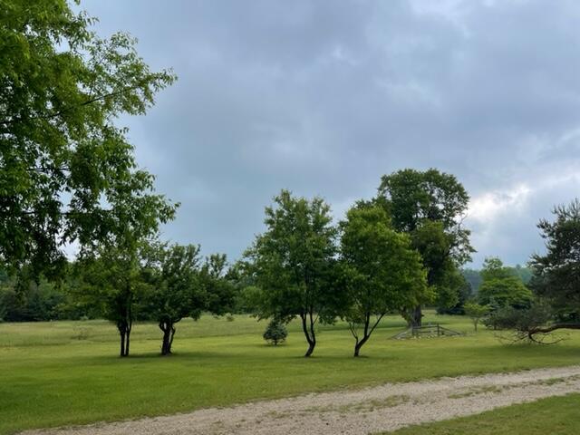 4395 North Raymond Road Luther, MI 49656 - Photo 21 of 58 IMG_5120