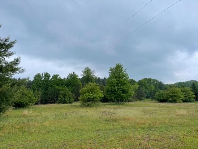 4395 North Raymond Road Luther, MI 49656 - Photo 23 of 58 IMG_5109
