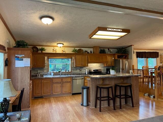 4395 North Raymond Road Luther, MI 49656 - Photo 31 of 58 IMG_5124