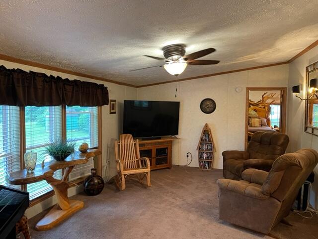 4395 North Raymond Road Luther, MI 49656 - Photo 35 of 58 IMG_5128
