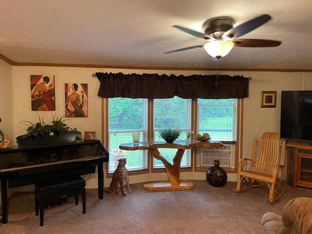 4395 North Raymond Road Luther, MI 49656 - Photo 36 of 58 IMG_5129