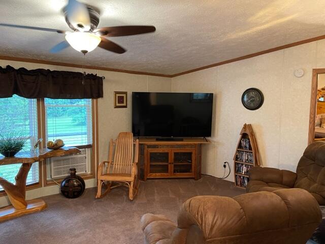 4395 North Raymond Road Luther, MI 49656 - Photo 37 of 58 IMG_5130
