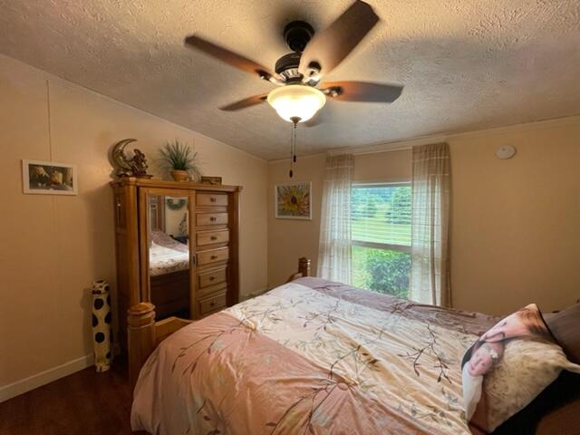 4395 North Raymond Road Luther, MI 49656 - Photo 39 of 58 IMG_5132