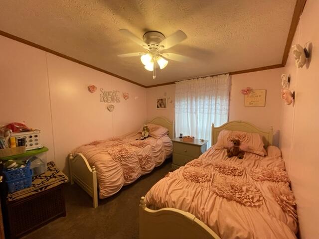 4395 North Raymond Road Luther, MI 49656 - Photo 43 of 58 IMG_5136