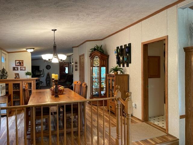 4395 North Raymond Road Luther, MI 49656 - Photo 55 of 58 IMG_5149