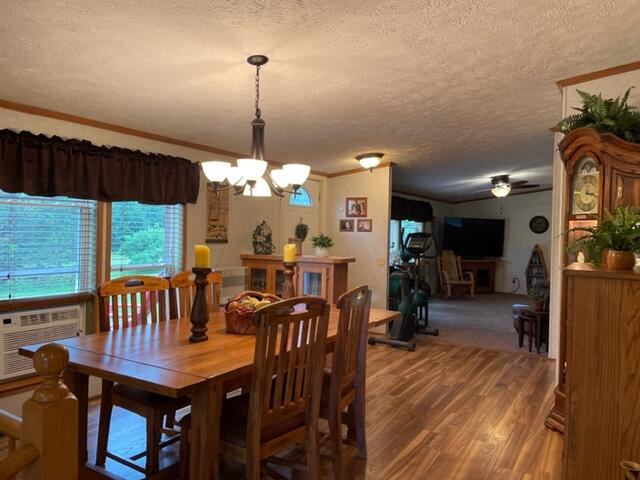 4395 North Raymond Road Luther, MI 49656 - Photo 56 of 58 IMG_5150