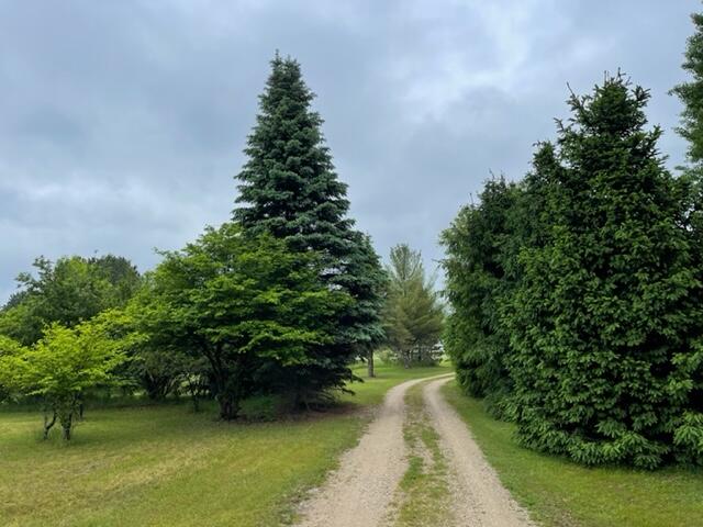 4395 North Raymond Road Luther, MI 49656 - Photo 8 of 58 IMG_5155