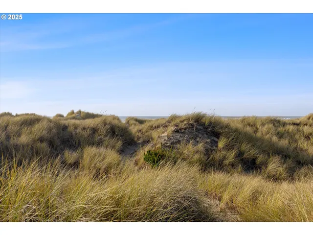 a view of a large green field