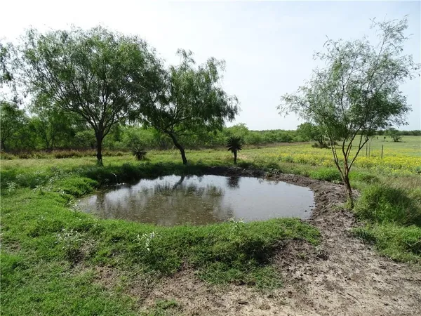 $1,402,000 | 0 Fm 2294 Highway, Santa Elena, TX 78591