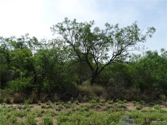 $1,374,871 | 0 Fm 2294 Highway, Santa Elena, TX 78591