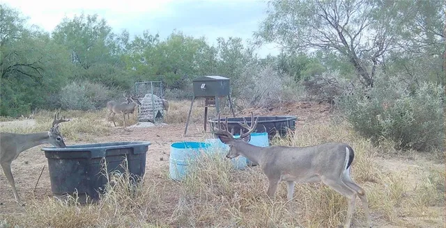 $1,374,871 | 0 Fm 2294 Highway, Santa Elena, TX 78591