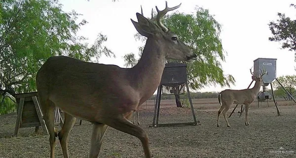 a view of outdoor space yard and patio