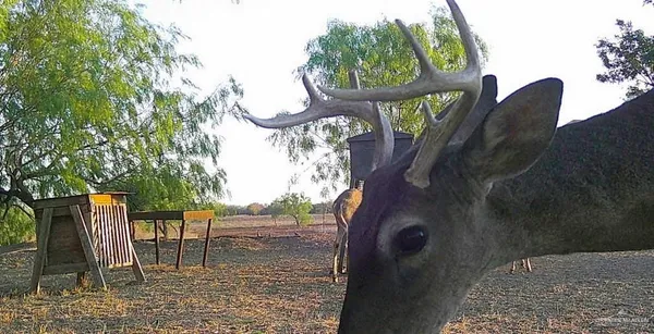 a view of outdoor seating