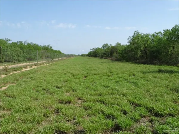 a view of a field of grass and trees