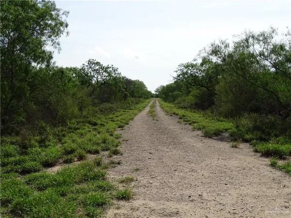 a view of a dirt road with a trees