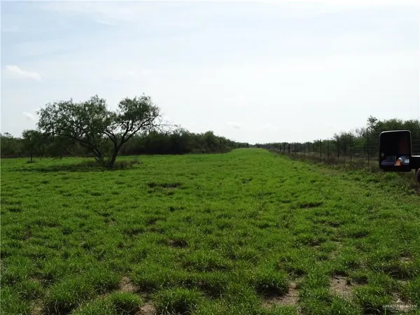 a view of a field of grass and trees