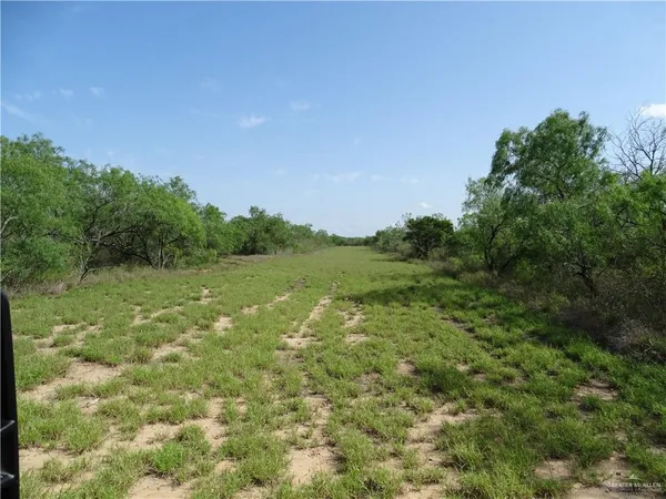 a view of a field with an trees