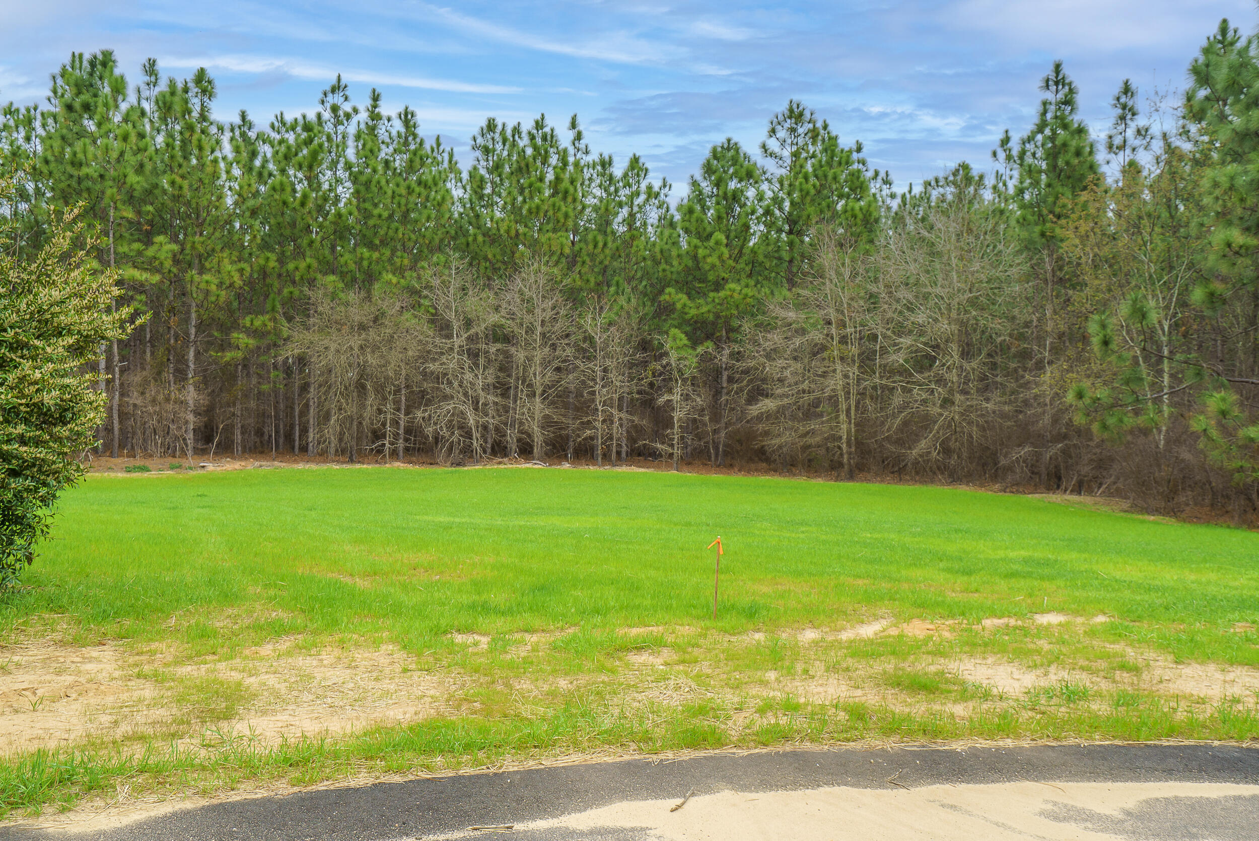 Lot 4-1 Simonside Court Aiken, SC 29803 - Photo 5 of 31