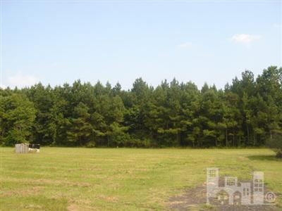 100 Frank Cottle Road Teachey, NC 28464 - Photo 1 of 2 Primary Photo