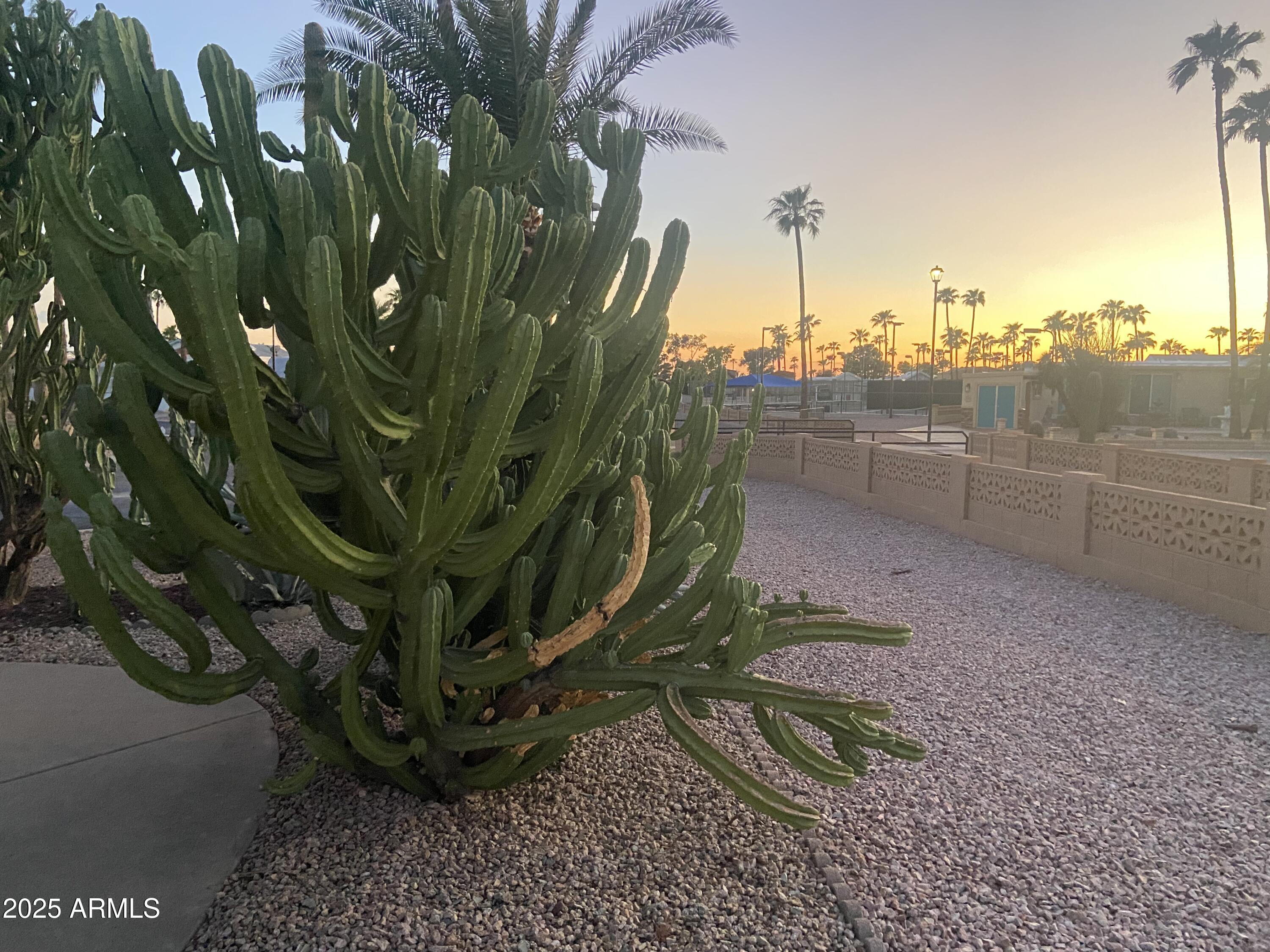 1206 West Klamath Avenue Apache Junction, AZ 85119 - Photo 33 of 35 a view of a backyard
