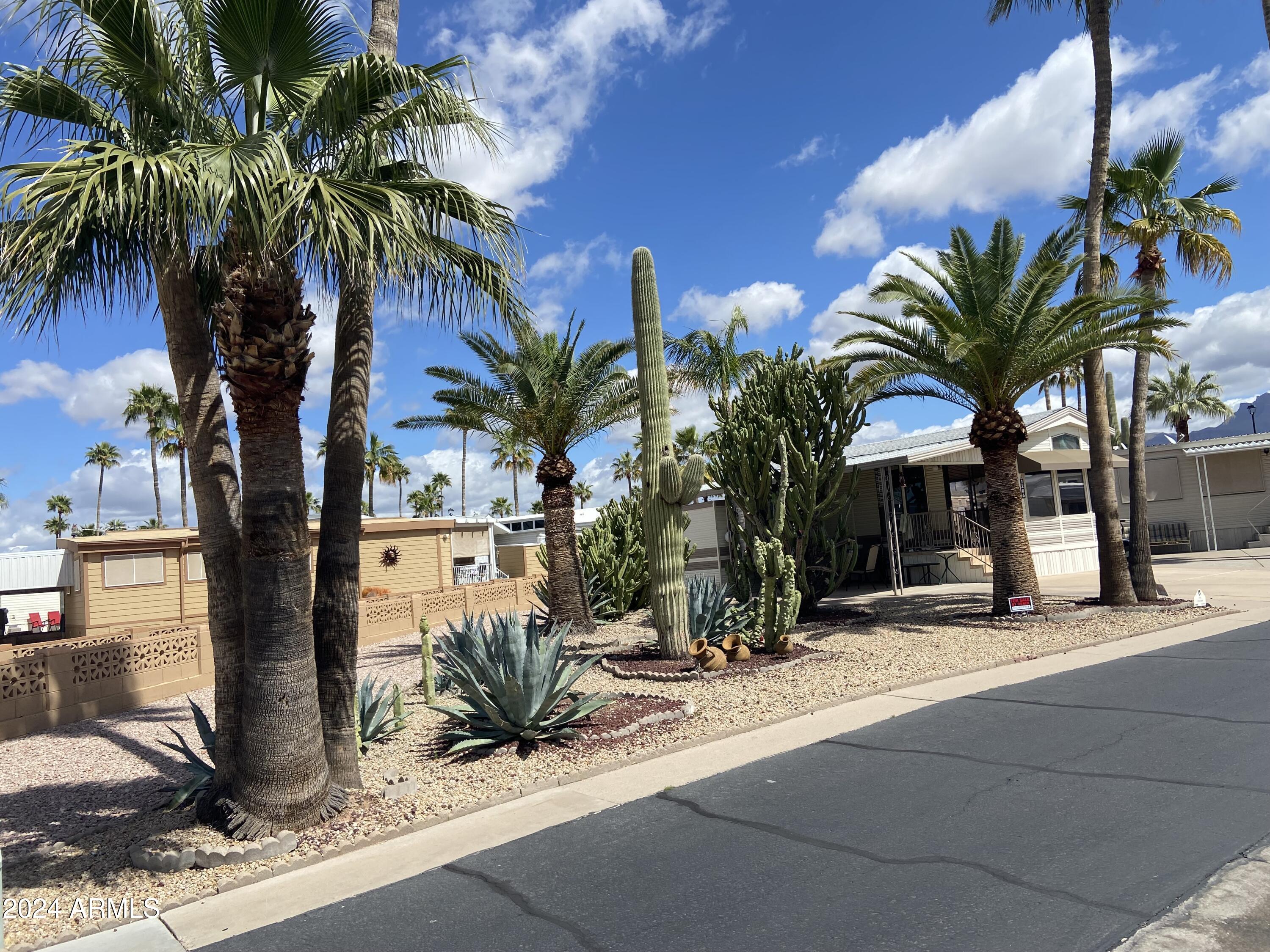 1206 West Klamath Avenue Apache Junction, AZ 85119 - Photo 35 of 35 a view of a palm tree with a patio