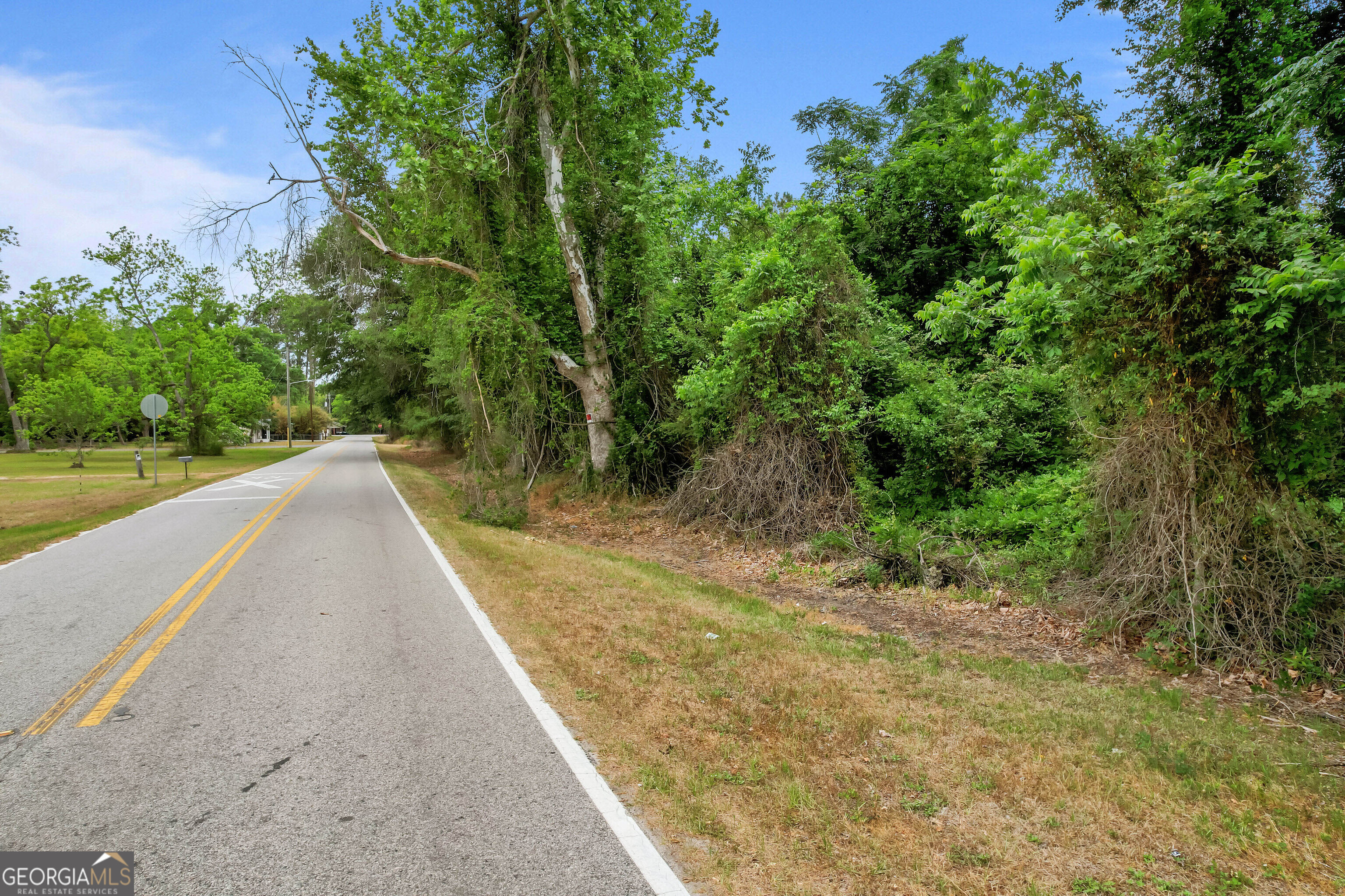 0 Offerman Loop Patterson, GA 31557 - Photo 15 of 16 Gallery Image 15