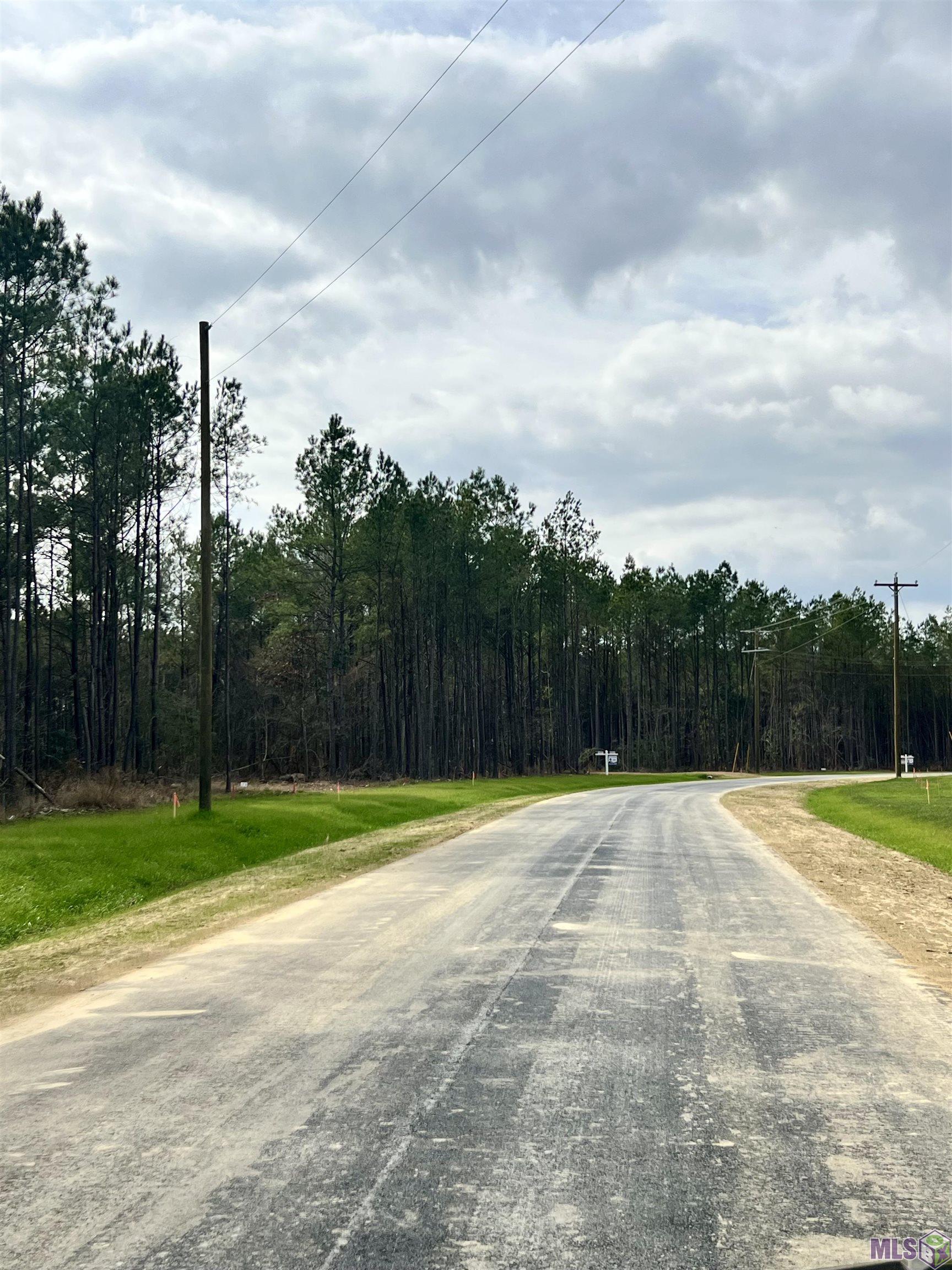 Lot 36 Copper Pass Livingston, LA 70754 - Photo 11 of 18