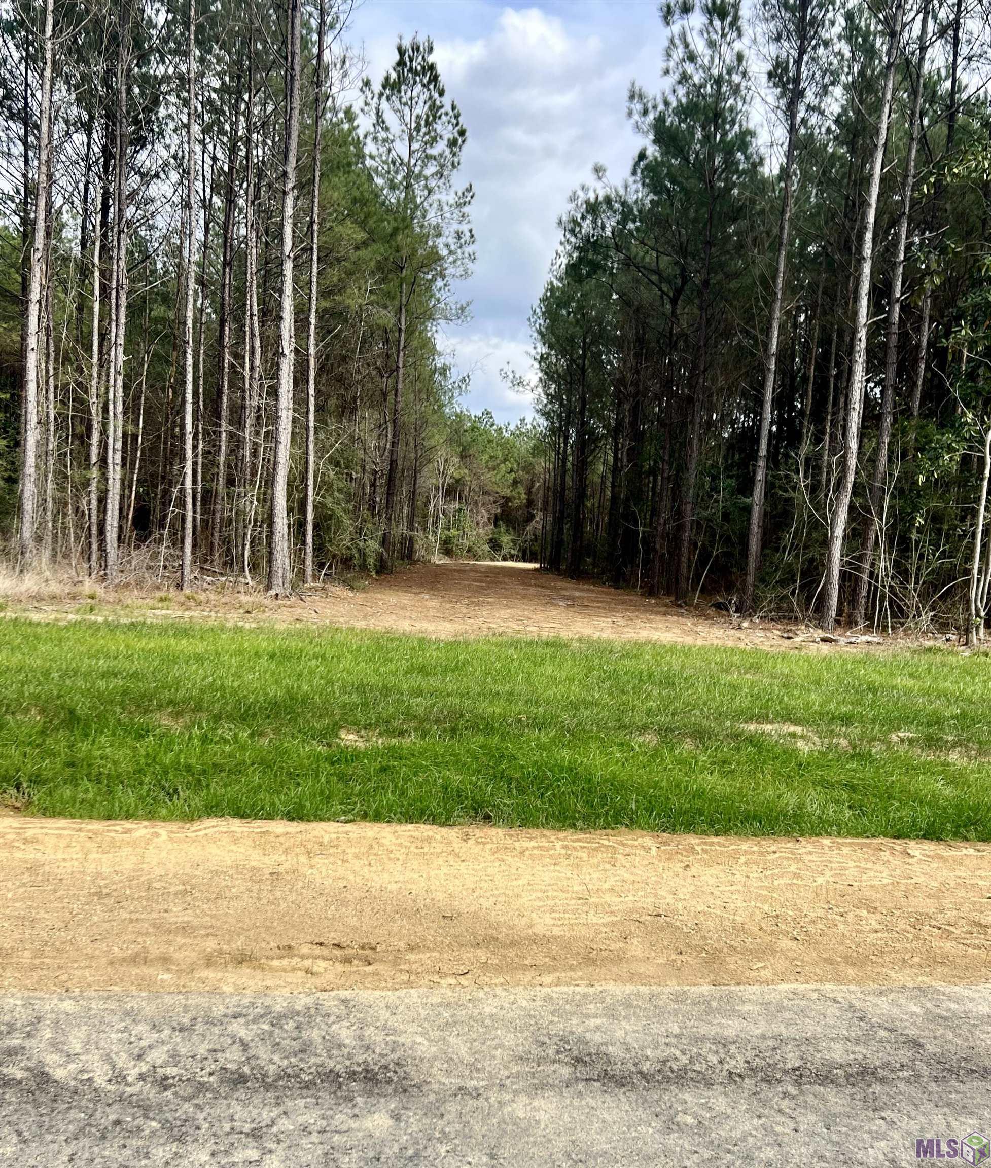 Lot 36 Copper Pass Livingston, LA 70754 - Photo 10 of 18